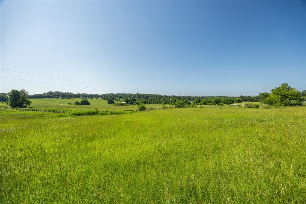21601 Old Bellamy Road Alachua, FL 32615 - Photo 43 of 67