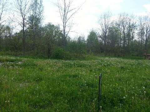 Calhoun Drive Adrian, MI 49221 - Photo 1 of 1 20401154.JPG