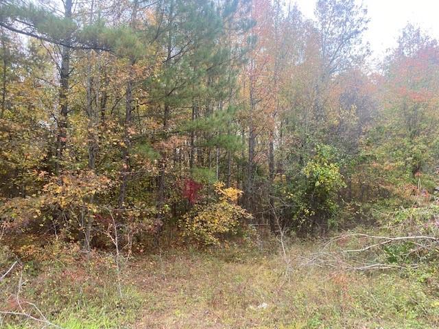2275 Cal Bost Road Midland, NC 28107 - Photo 4 of 8 Gallery Image 4