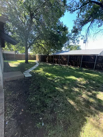 a view of a yard with plants and a tree