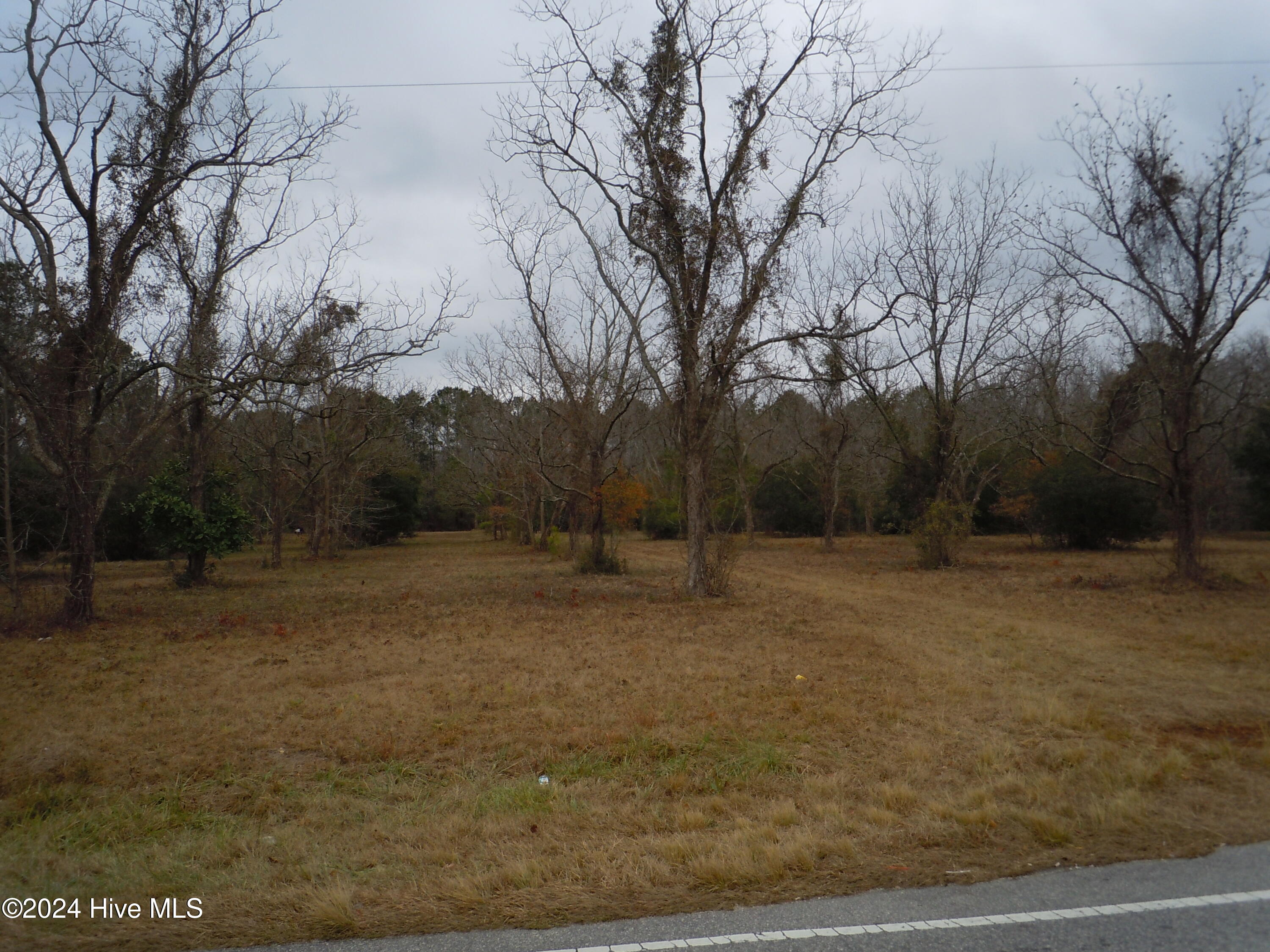 5228 Will Inman Road Tabor City, NC 28463 - Photo 11 of 11 DSCN9251