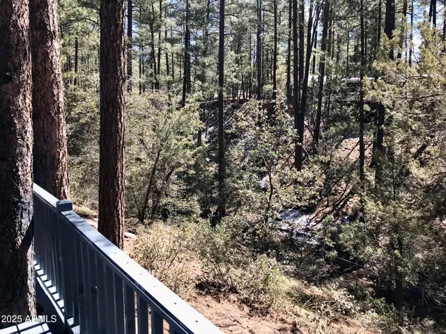 $2,895 | 8871 Wild Turkey Lane, Pine, AZ 85544