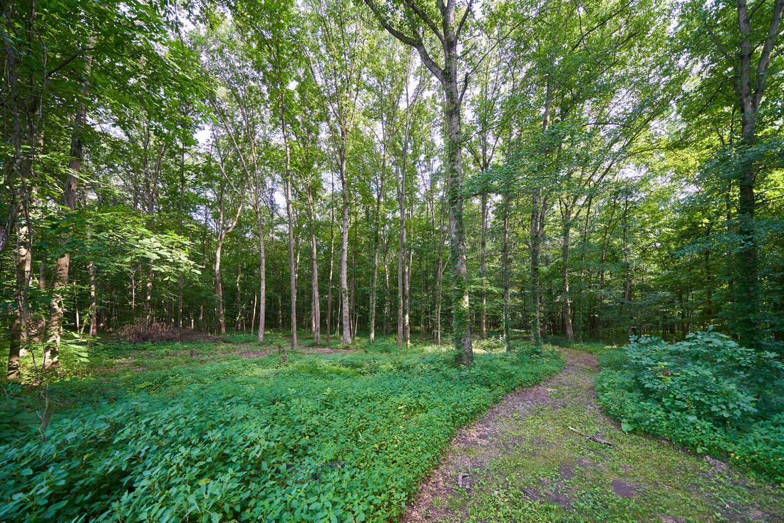 14166 Robins Road Westerville, OH 43082 - Photo 27 of 30 Gallery Image 27