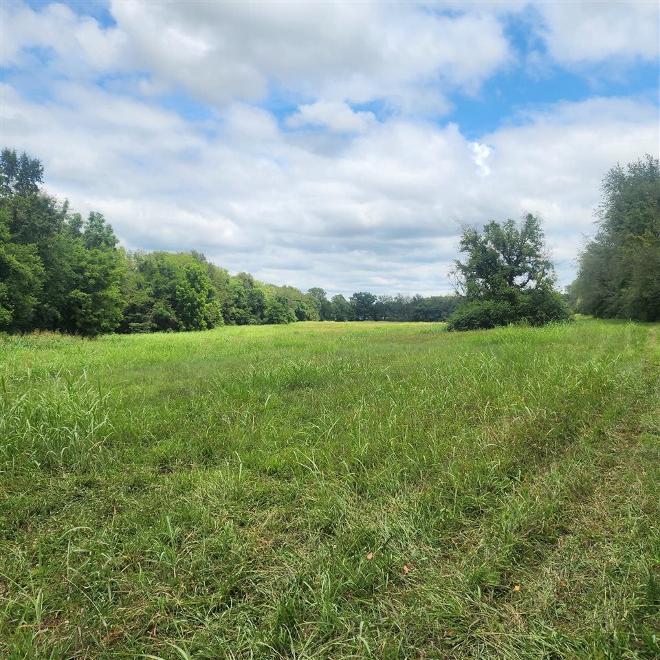 0 Turner Ford Road Auburn, KY 42206 - Photo 2 of 6 Gallery Image 2