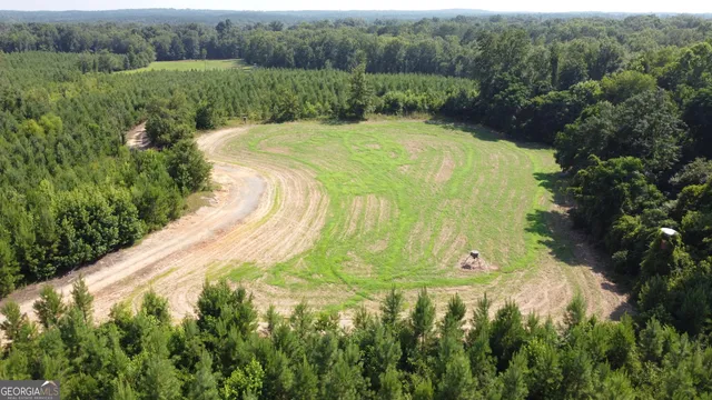 a view of a big yard with large trees