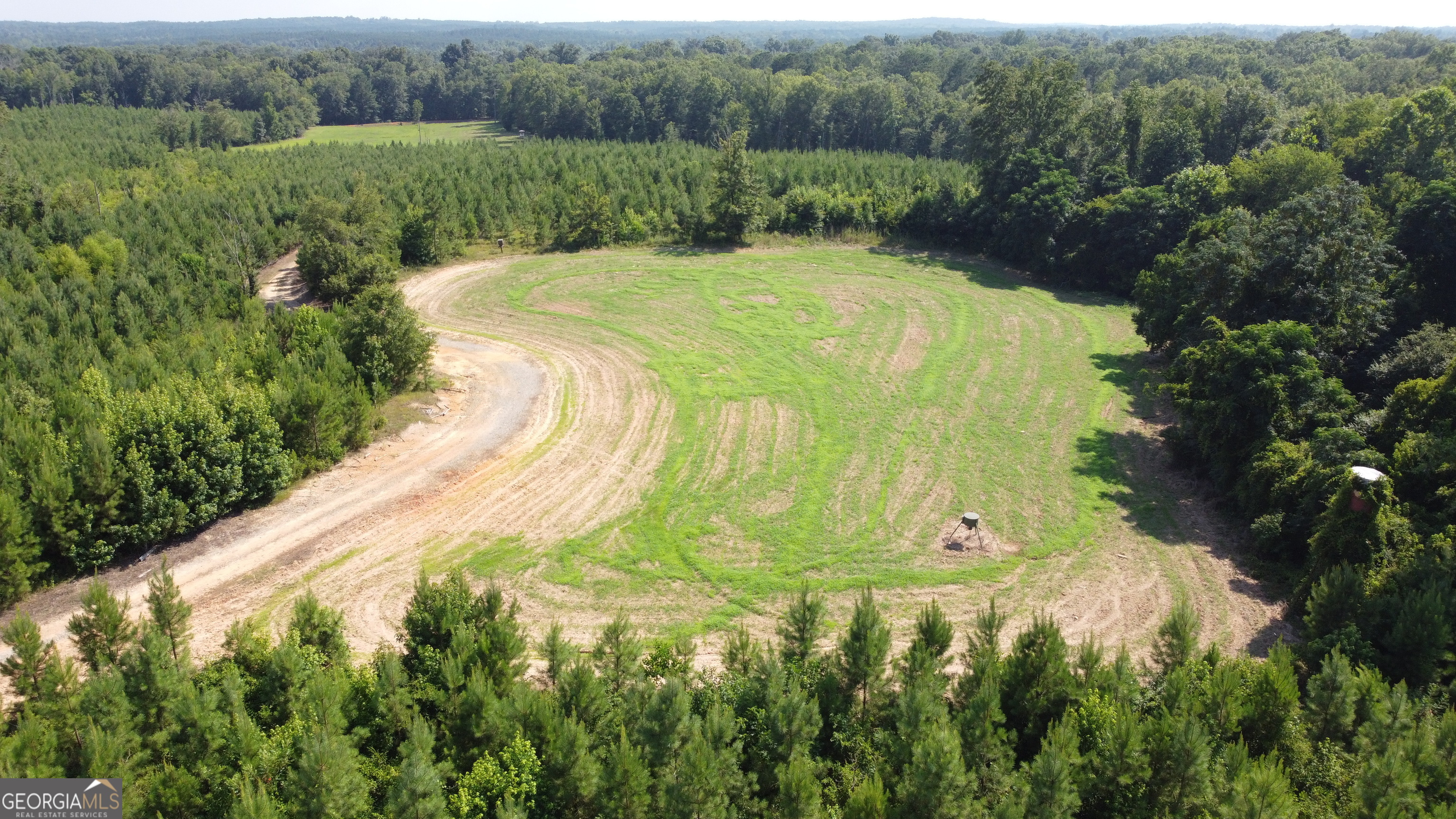 a view of a big yard with large trees