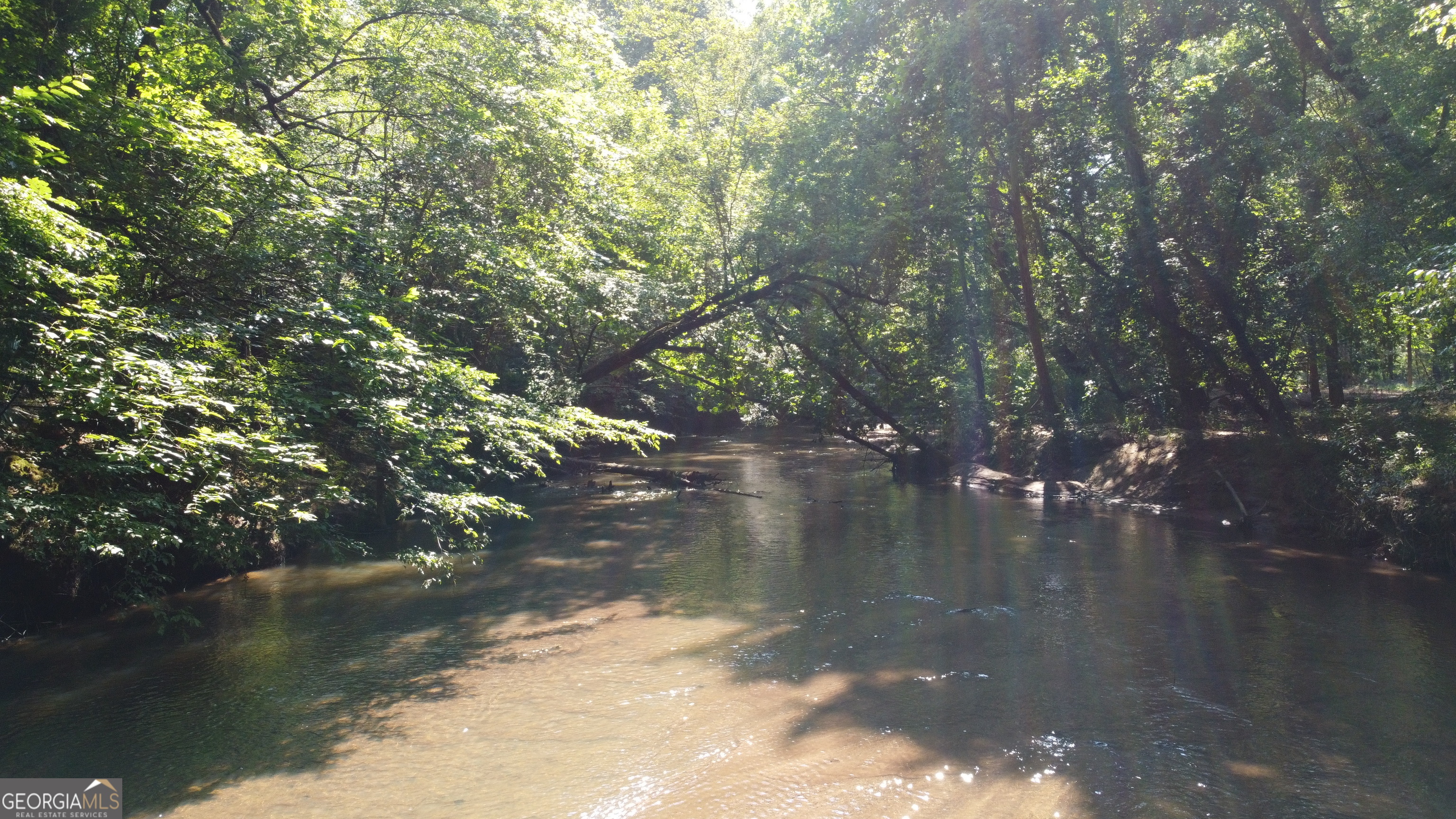 9390 Hopewell Road Lizella, GA 31052 - Photo 13 of 19 a view of water with a tree