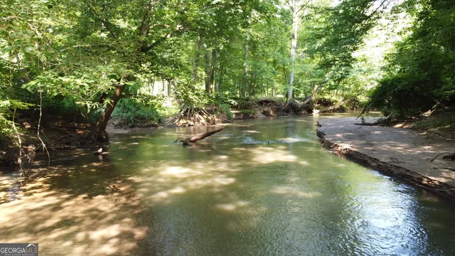 a view of water tree