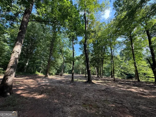 a view of outdoor space with city view