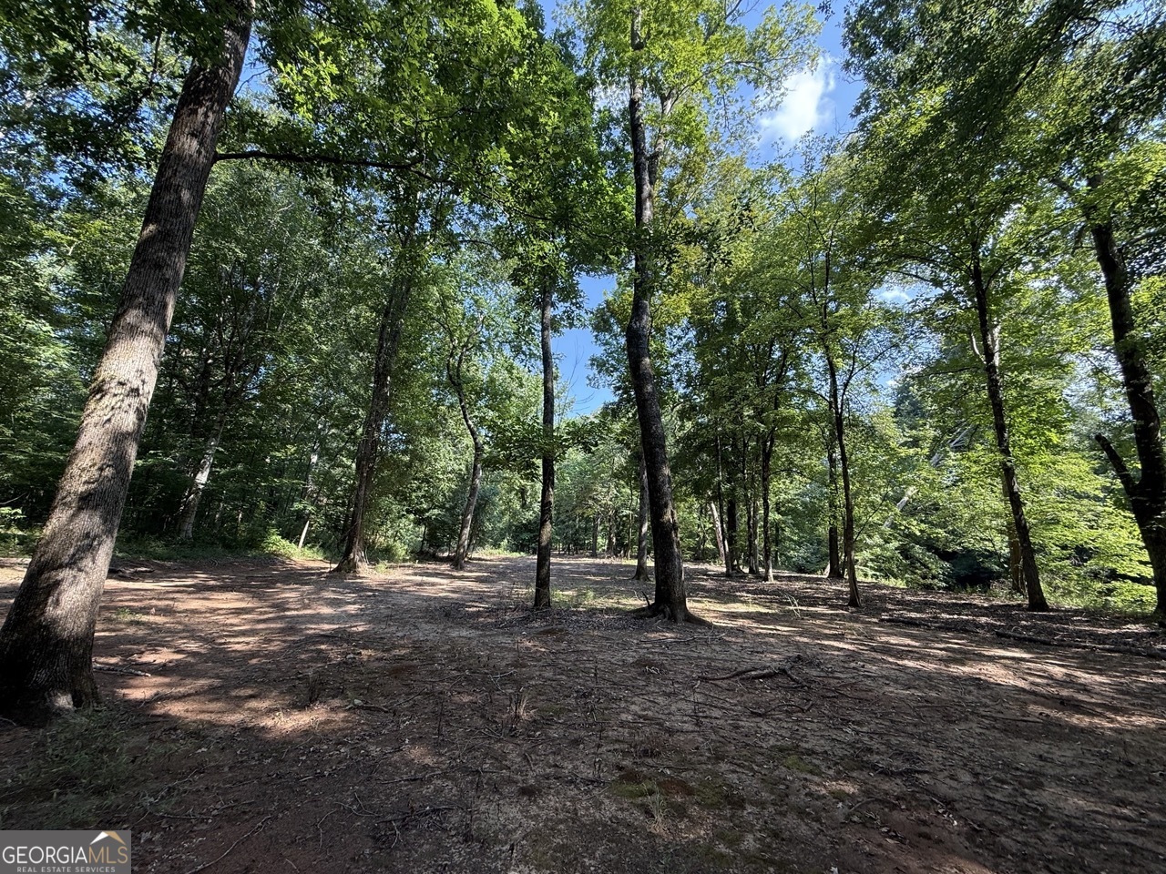 9390 Hopewell Road Lizella, GA 31052 - Photo 17 of 19 a view of outdoor space with trees