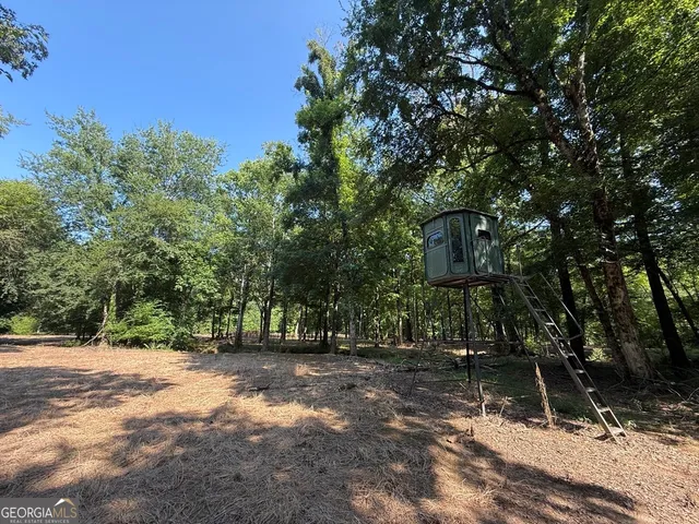 a view of a big yard