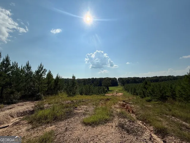 $975,000 | 9390 Hopewell Road, Lizella, GA 31052