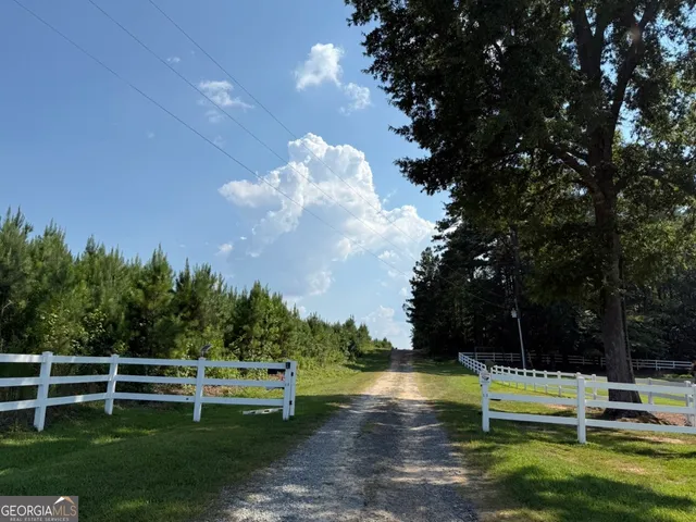 a view of a swimming pool with a garden and trees