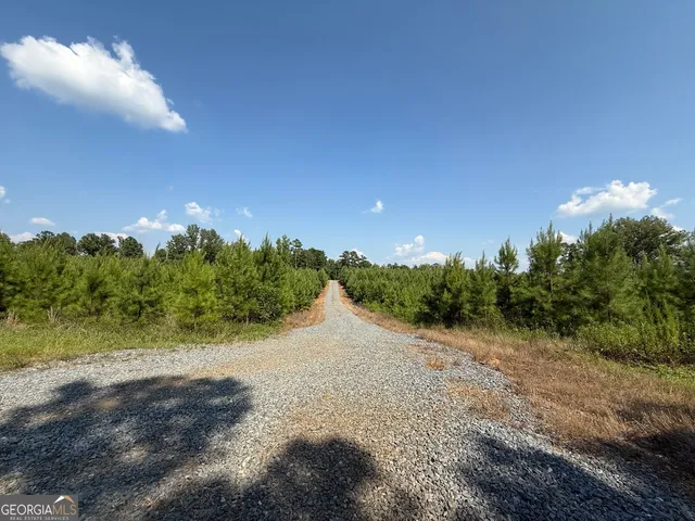 a view of a road with of trees