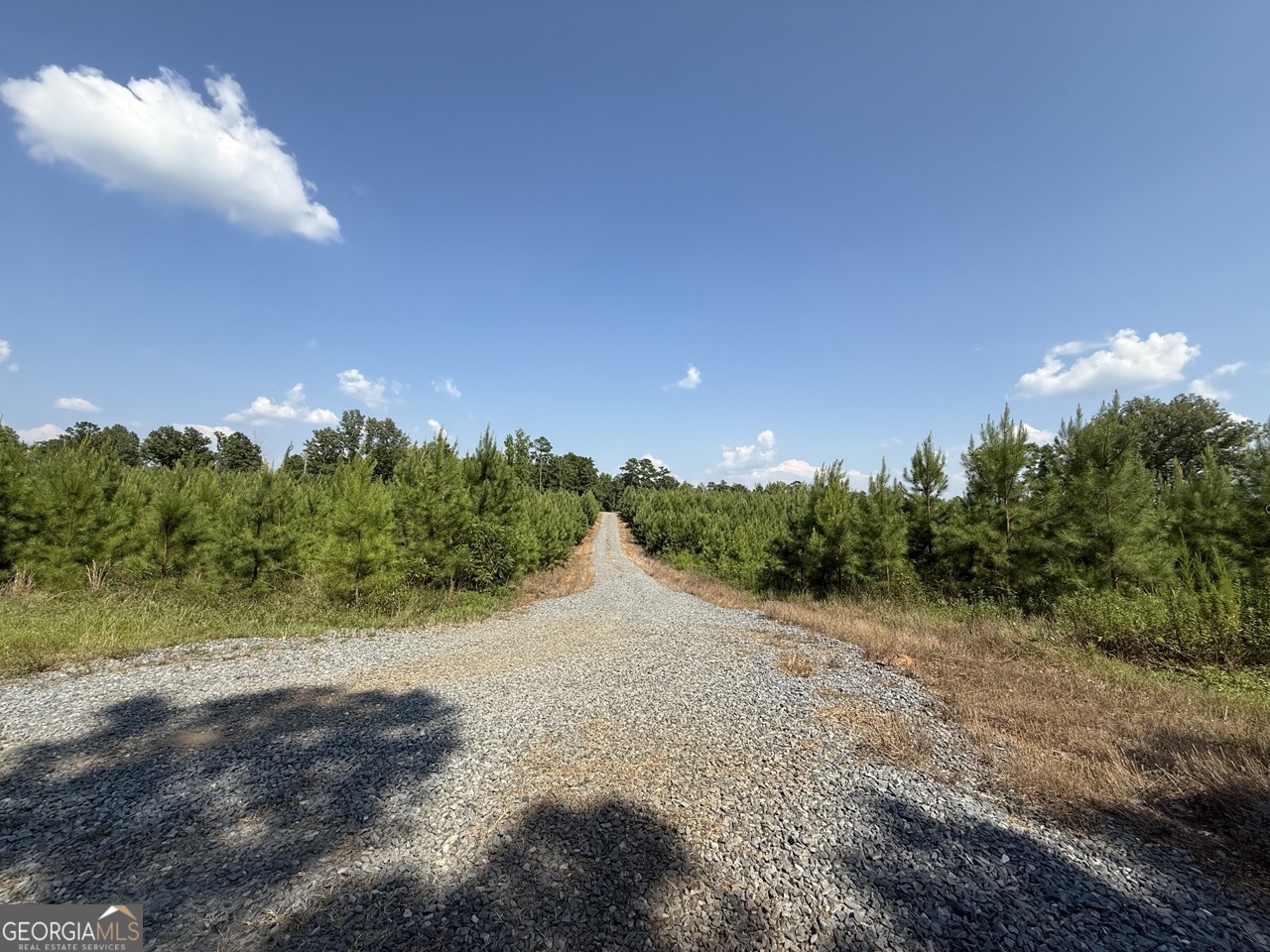 9390 Hopewell Road Lizella, GA 31052 - Photo 3 of 19 a view of a road with of trees