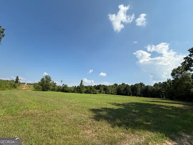 a view of a green field