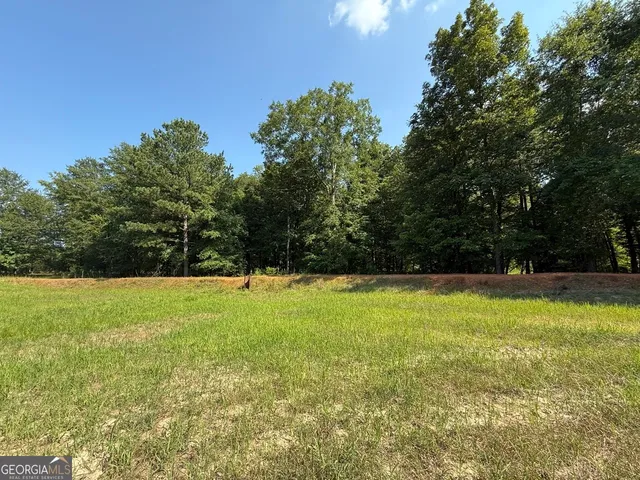a view of outdoor space and yard