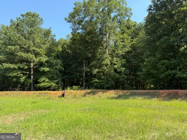 a view of green field