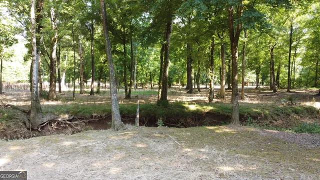 a view of lake with green space