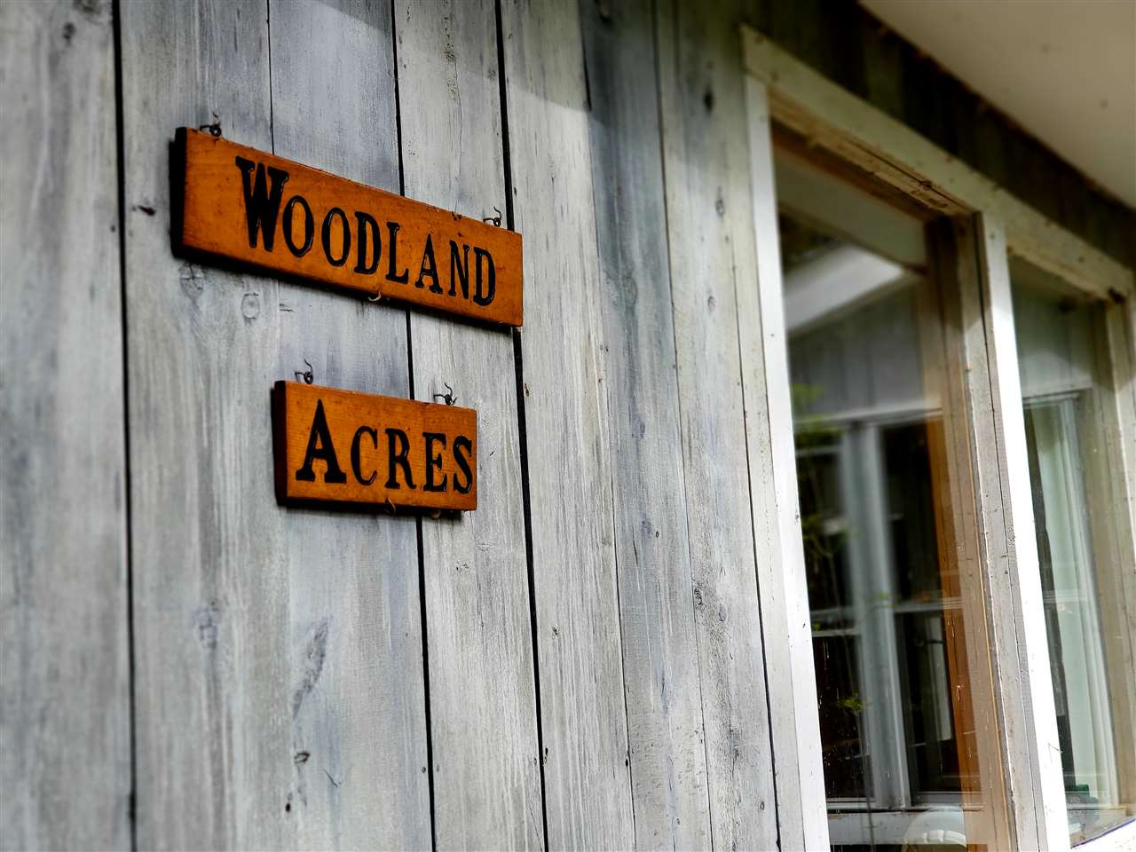 513 Morey Road Sutton, VT 05867 - Photo 2 of 16 Gallery Image 2