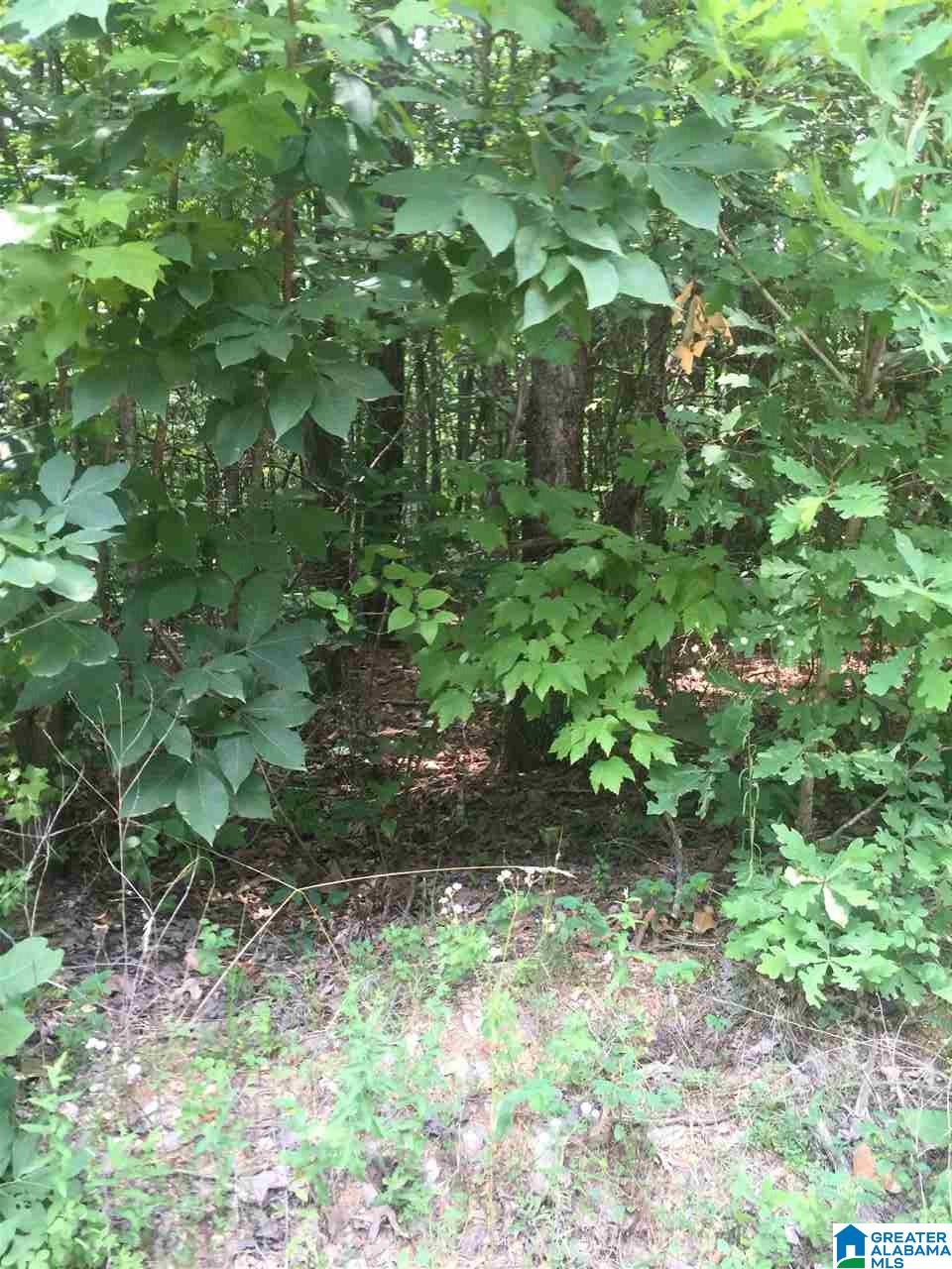 0 Rendalia Motorway, Unit 29 ACRES Talladega, AL 35160 - Photo 18 of 21