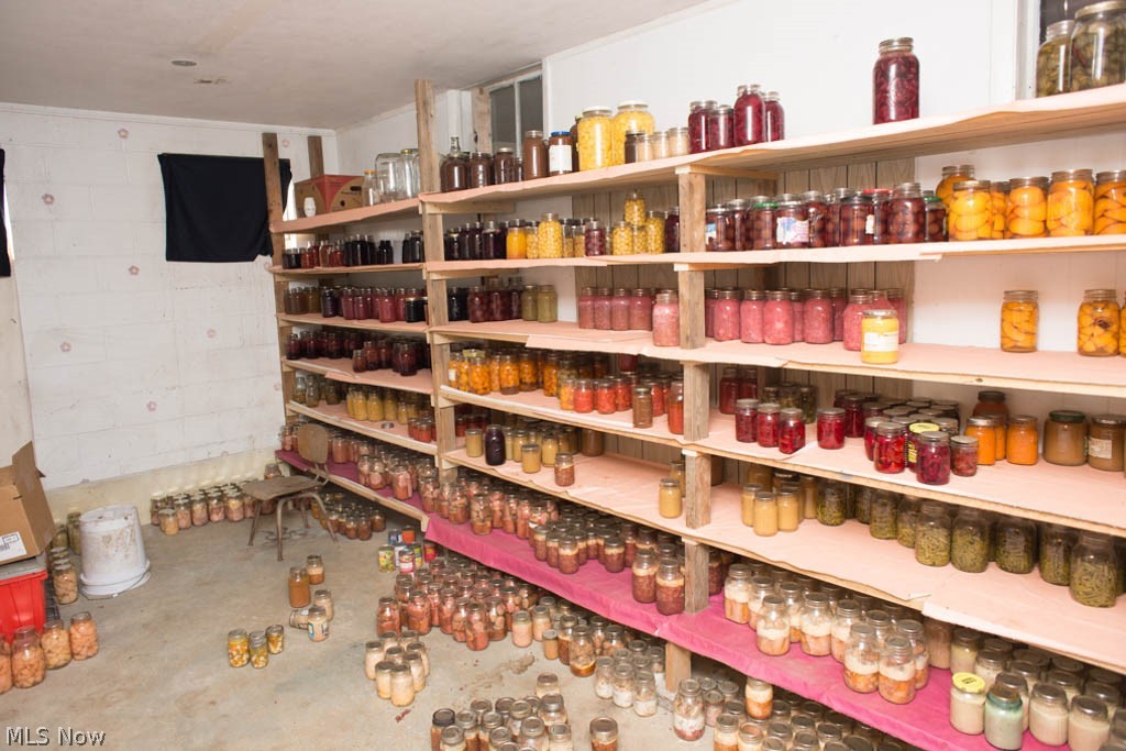 8156 Firestone Road Homerville, OH 44235 - Photo 17 of 29 Basement canning room.