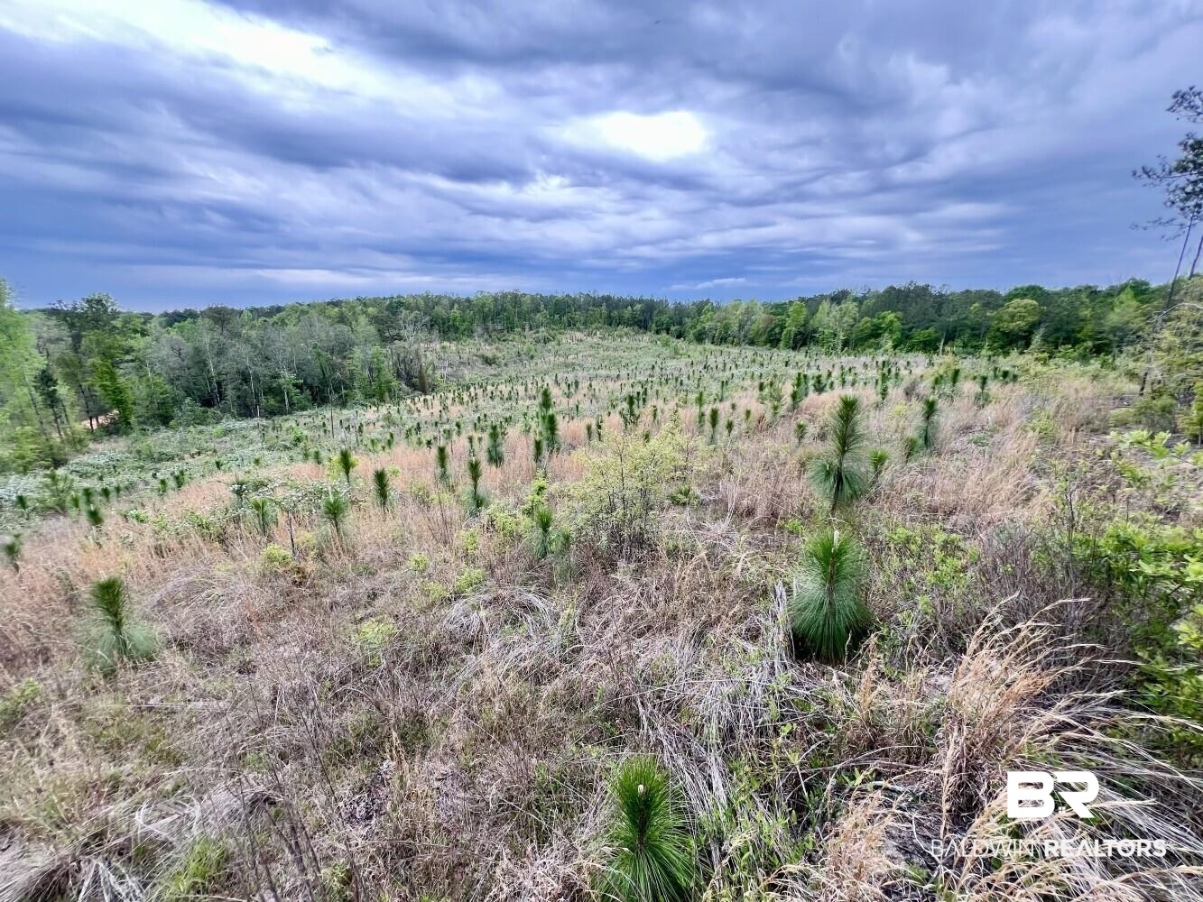 0 Pine Street St. Stephens, AL 36569 - Photo 17 of 26