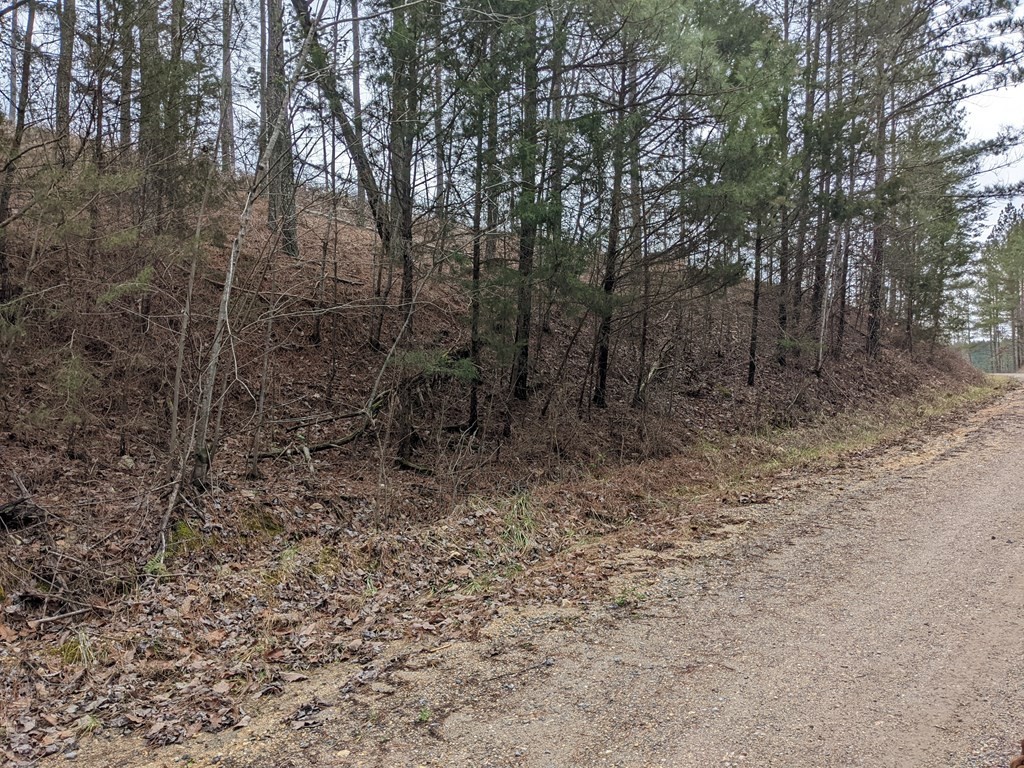 567 Dake Road Decatur, TN 37322 - Photo 18 of 21