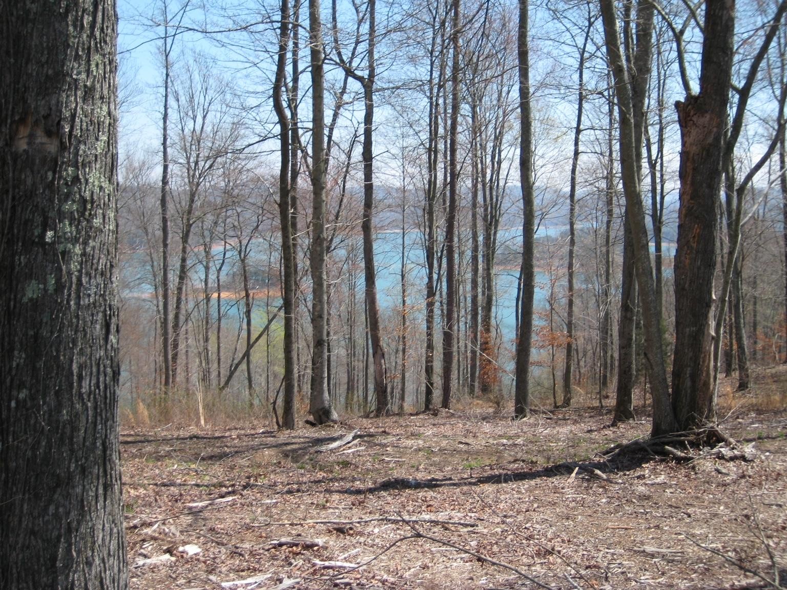 588 North Two Rivers Lane La Follette, TN 37766 - Photo 1 of 10 Gallery Image 1