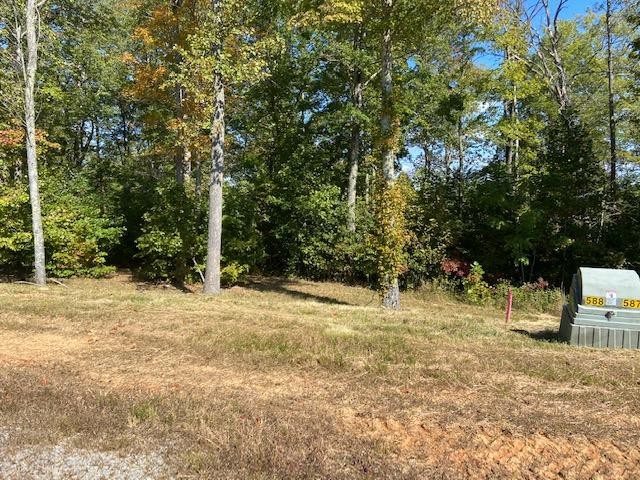588 North Two Rivers Lane La Follette, TN 37766 - Photo 3 of 10 Gallery Image 3