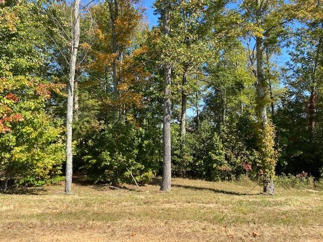 588 North Two Rivers Lane La Follette, TN 37766 - Photo 4 of 10 Gallery Image 4