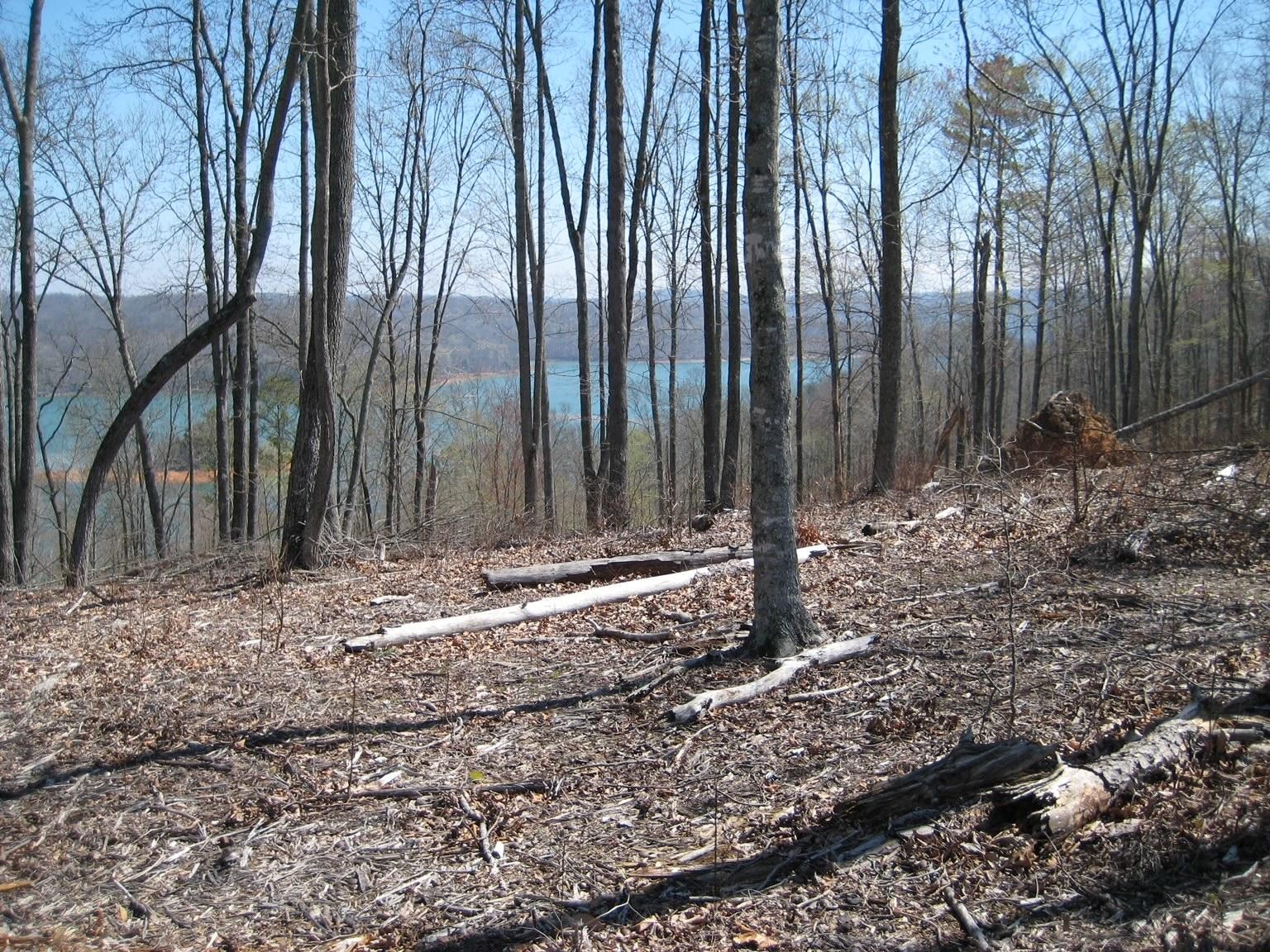 588 North Two Rivers Lane La Follette, TN 37766 - Photo 5 of 10 Gallery Image 5