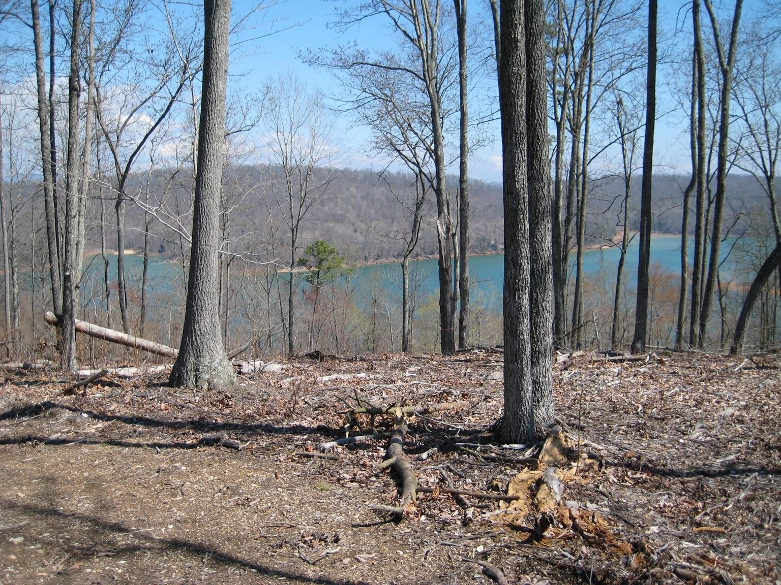 588 North Two Rivers Lane La Follette, TN 37766 - Photo 6 of 10 Gallery Image 6