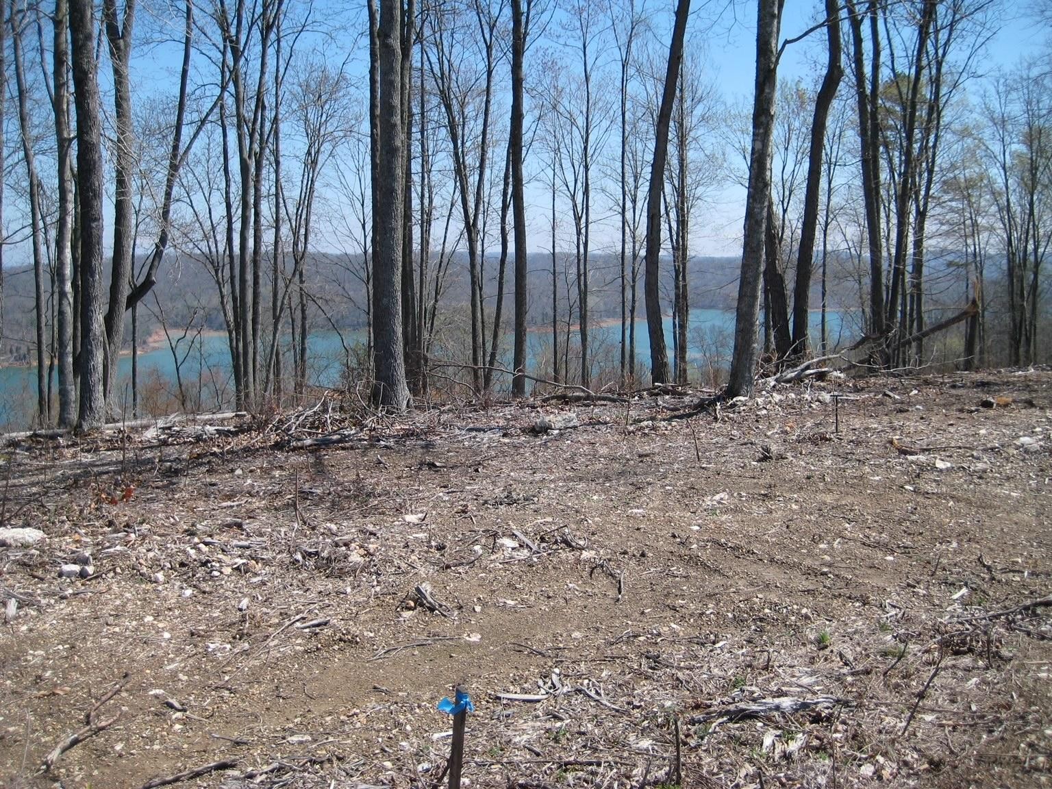 588 North Two Rivers Lane La Follette, TN 37766 - Photo 7 of 10 Gallery Image 7