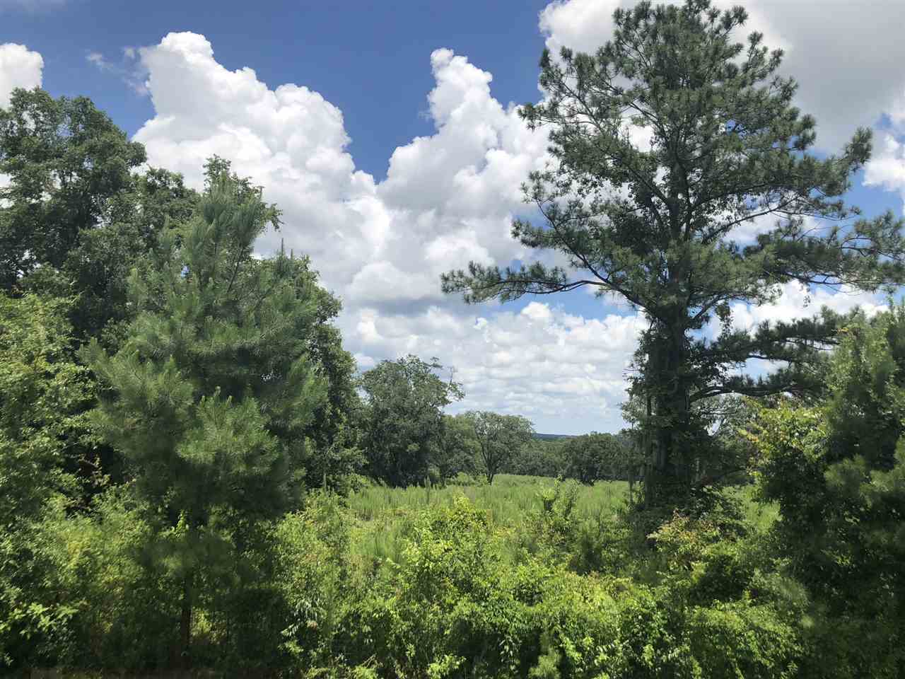3910 North Salt Road Monticello, FL 32344 - Photo 2 of 2 Gallery Image 2