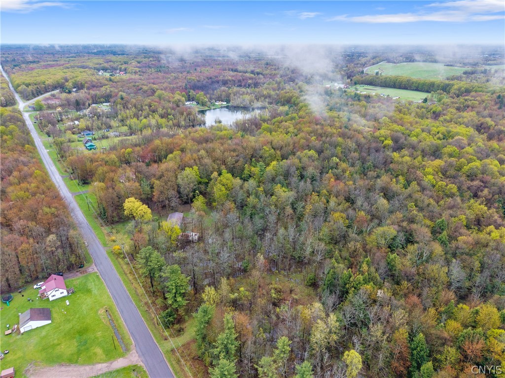 393 Rowlee Road Volney, NY 13069 - Photo 15 of 17