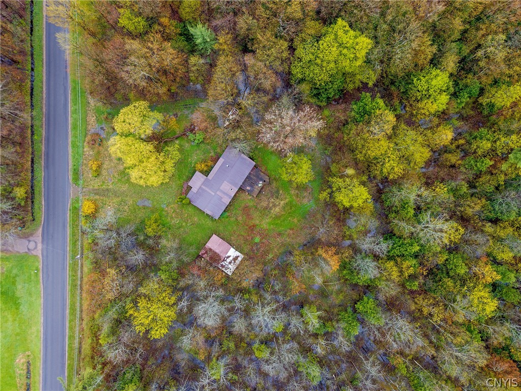 393 Rowlee Road Volney, NY 13069 - Photo 17 of 17