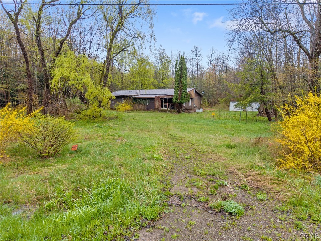 393 Rowlee Road Volney, NY 13069 - Photo 3 of 17