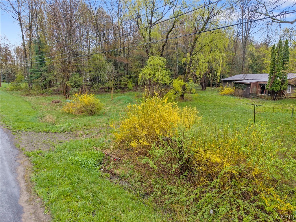 393 Rowlee Road Volney, NY 13069 - Photo 5 of 17
