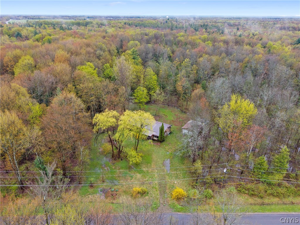 393 Rowlee Road Volney, NY 13069 - Photo 8 of 17