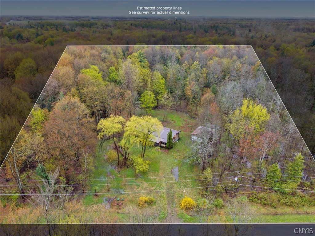 393 Rowlee Road Volney, NY 13069 - Photo 9 of 17