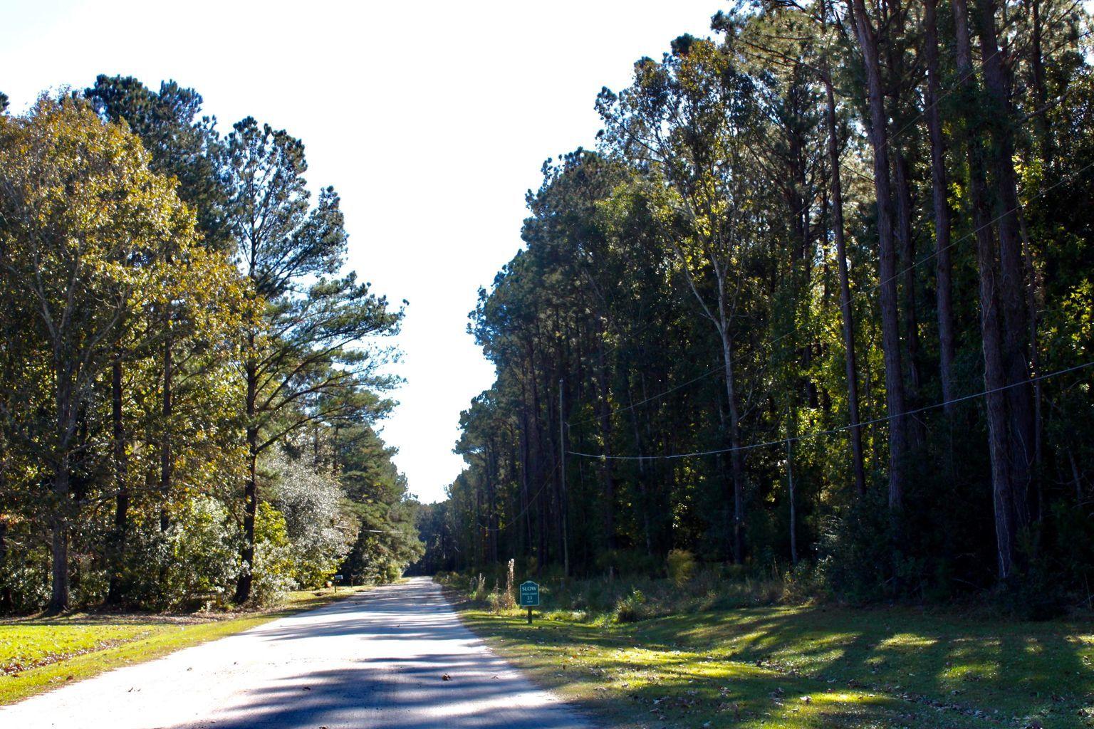 11 Lord Proprietors Road Meggett, SC 29449 - Photo 3 of 12 20201118164329917553000000-o