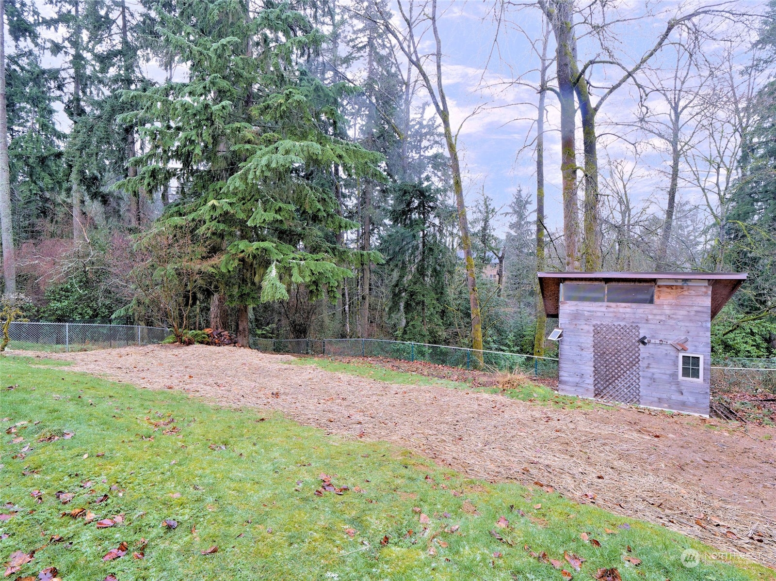 11261 145th Avenue Southeast Renton, WA 98059 - Photo 24 of 26 a backyard of a house with lots of green space