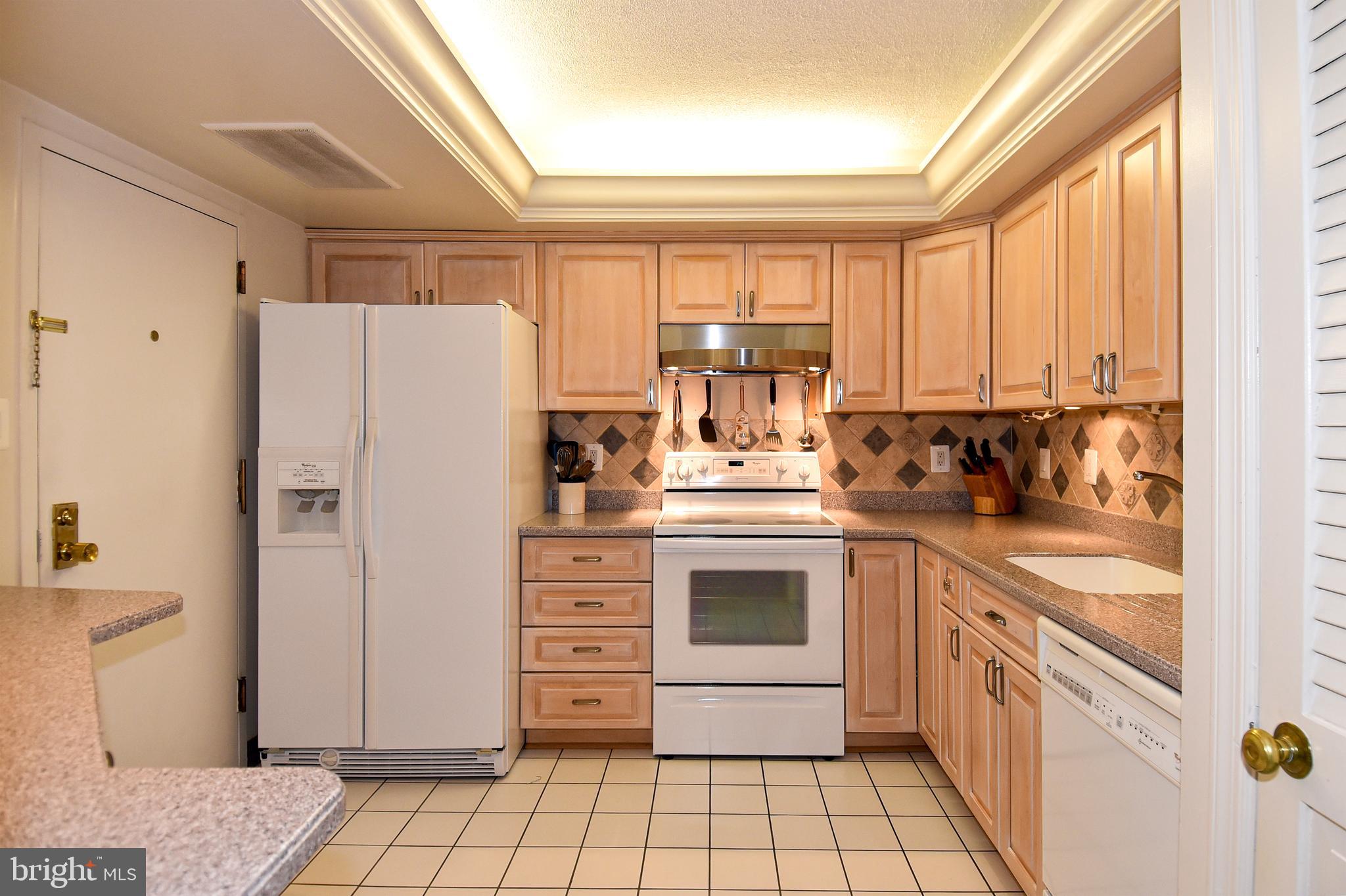 1101 South Arlington Ridge Road, Unit 903 Arlington, VA 22202 - Photo 15 of 66 Spacious Kitchen with Breakfast Bar on the Left
