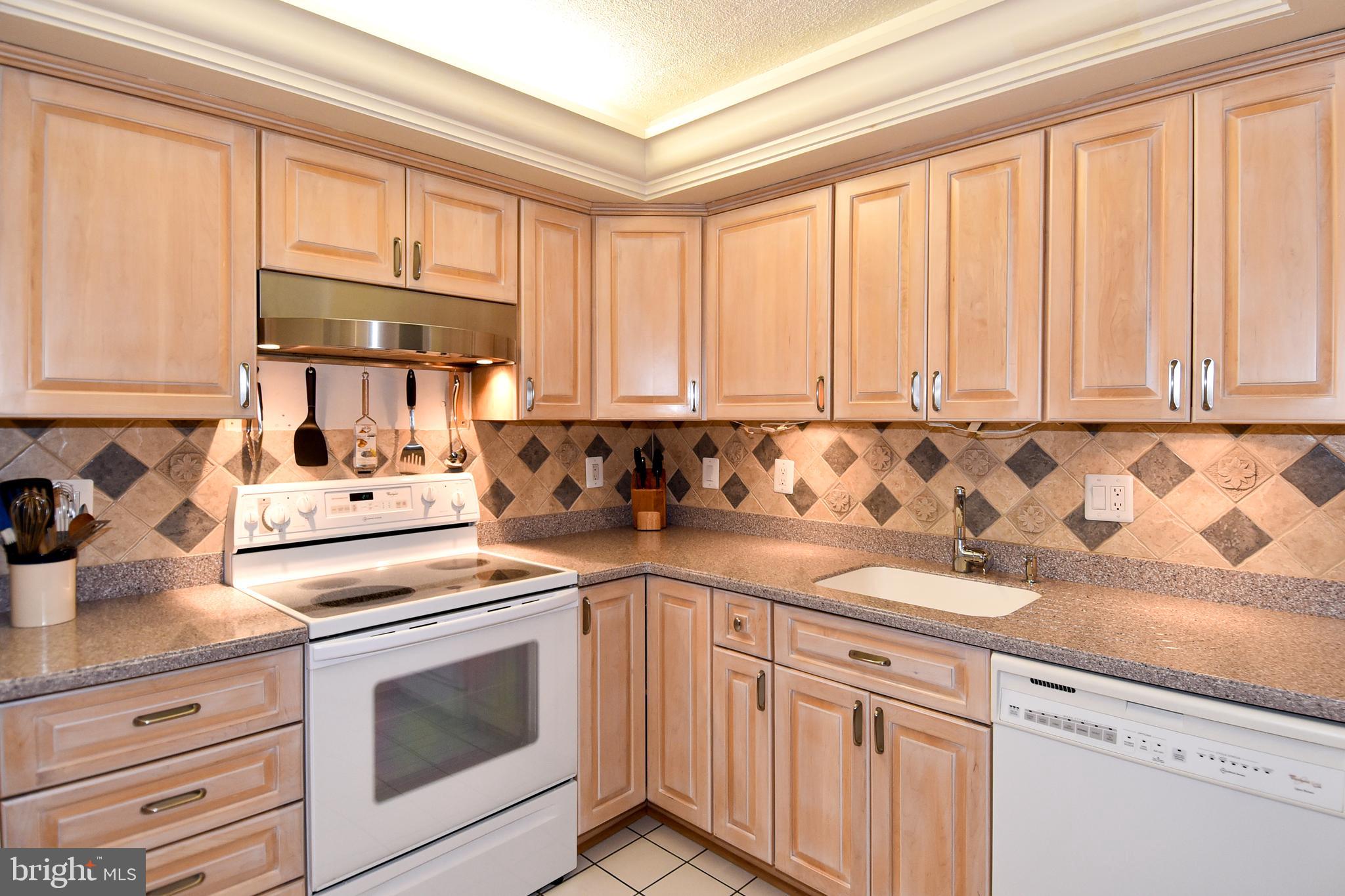 1101 South Arlington Ridge Road, Unit 903 Arlington, VA 22202 - Photo 17 of 66 Kitchen - New Exhaust Fan & Loads of Counter Space