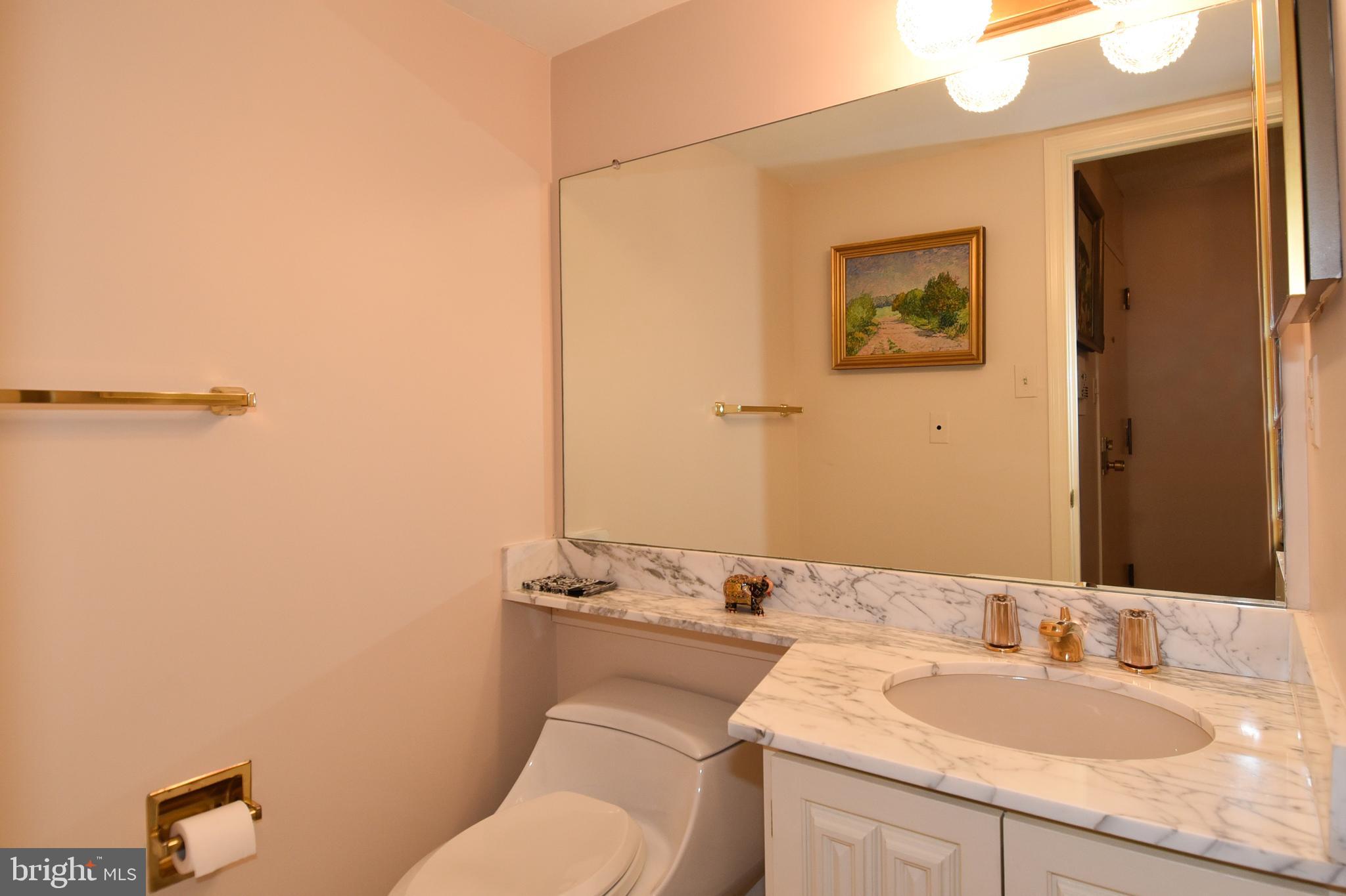 1101 South Arlington Ridge Road, Unit 903 Arlington, VA 22202 - Photo 23 of 66 Powder Room off Entry Foyer with Carrara Marble