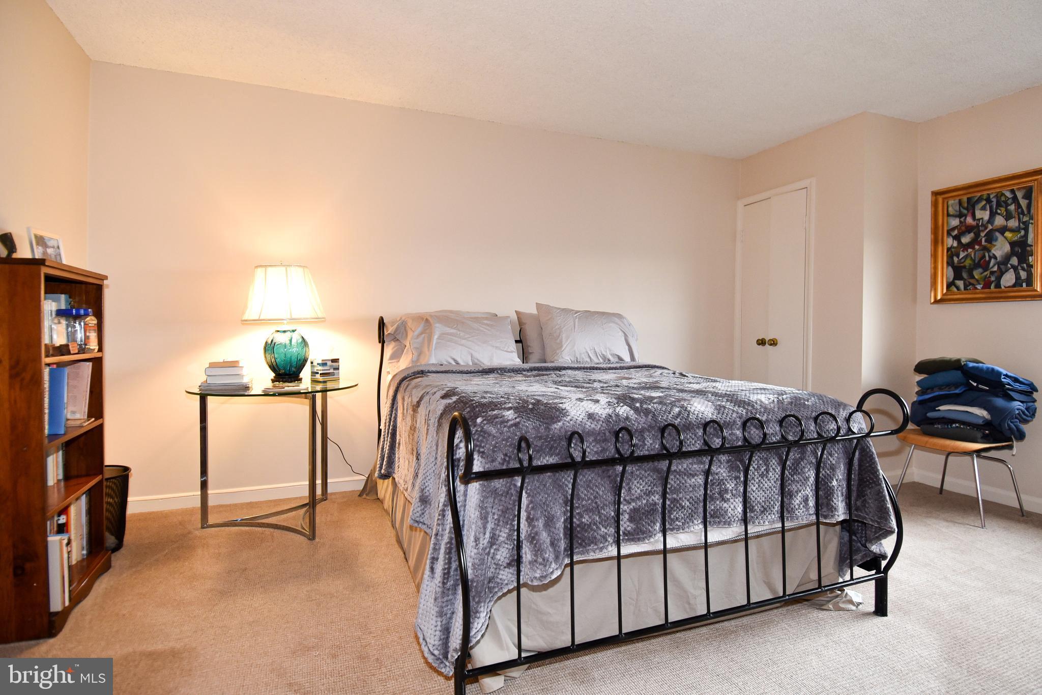 1101 South Arlington Ridge Road, Unit 903 Arlington, VA 22202 - Photo 24 of 66 Spacious Master Bedroom with 100% Wool Carpeting