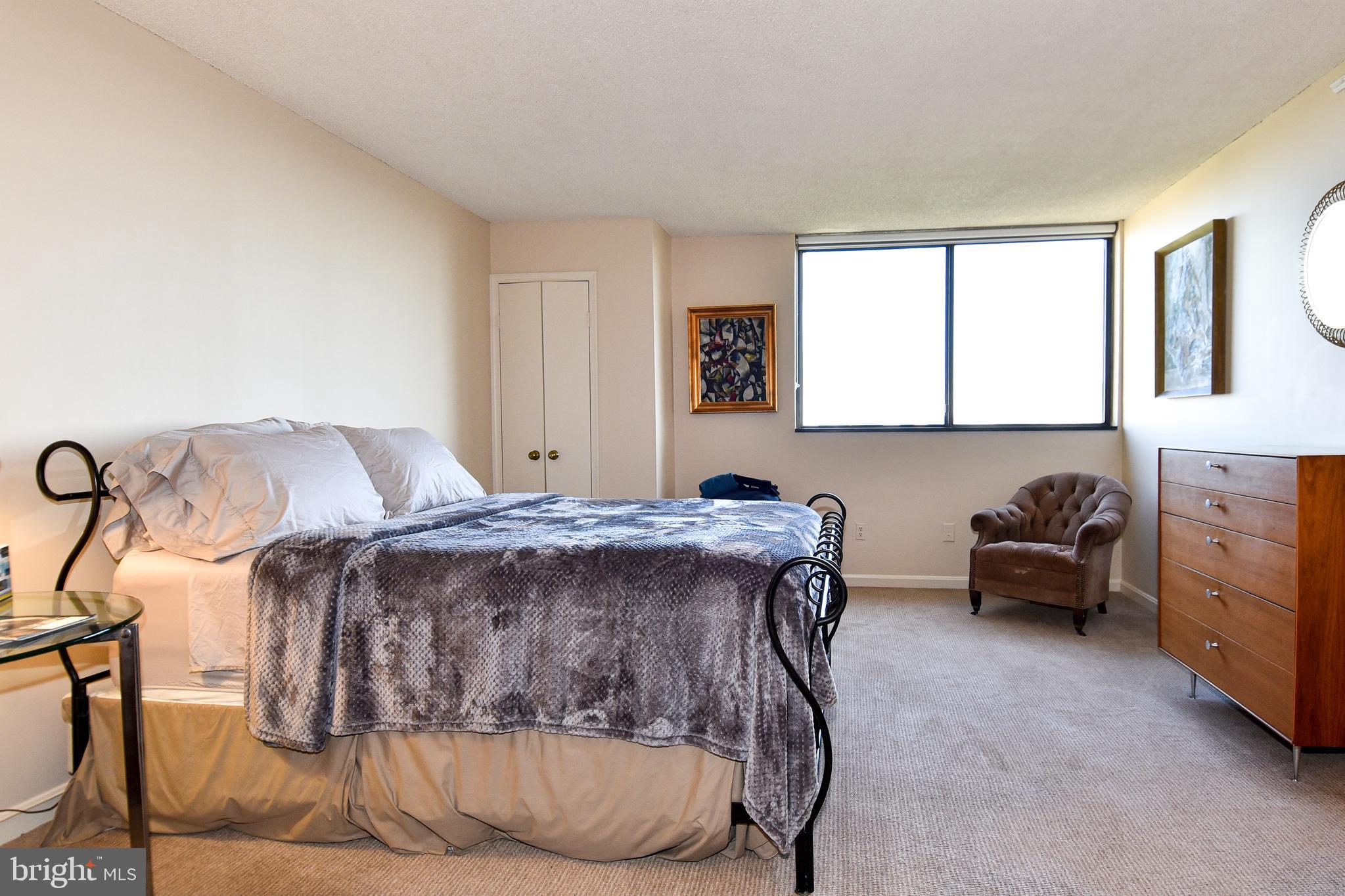 1101 South Arlington Ridge Road, Unit 903 Arlington, VA 22202 - Photo 25 of 66 Master Bedroom - 2nd View