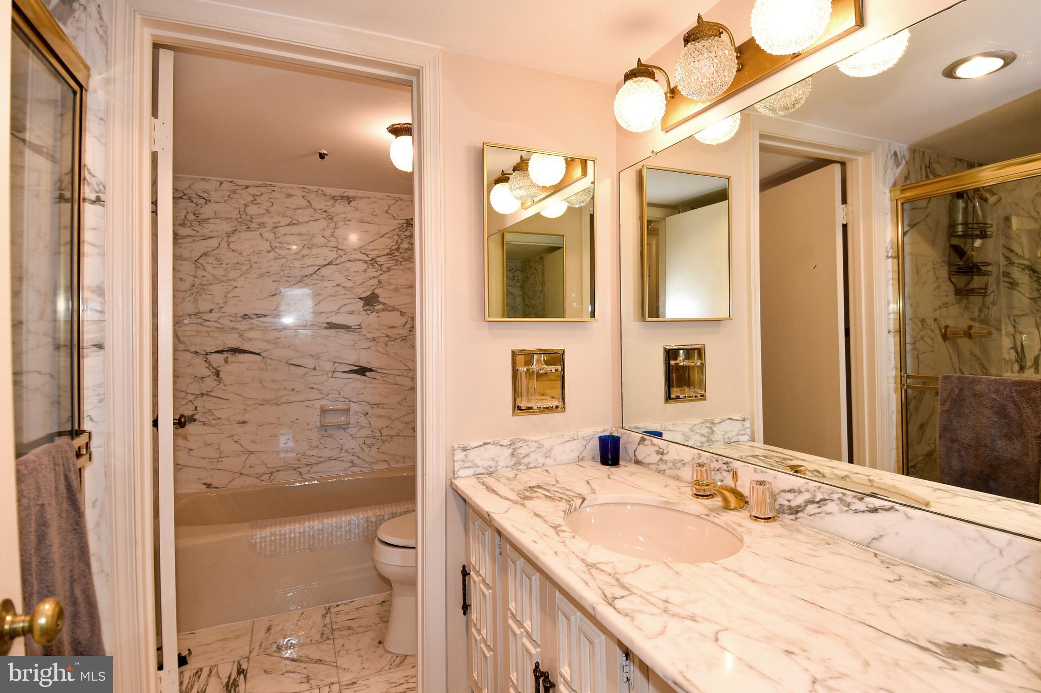1101 South Arlington Ridge Road, Unit 903 Arlington, VA 22202 - Photo 31 of 66 Spacious Master Bath with Carrara Marble Counters