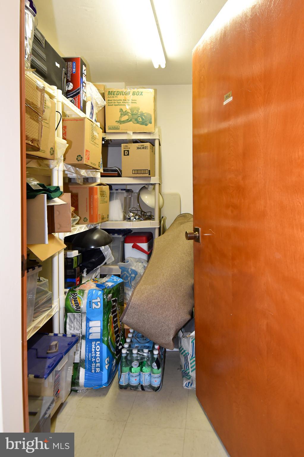 1101 South Arlington Ridge Road, Unit 903 Arlington, VA 22202 - Photo 39 of 66 9th Floor Private Secure Storage Closet 8'x6'x8'
